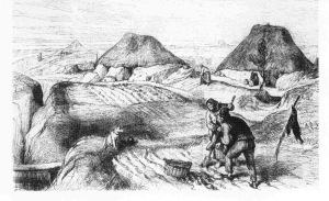 Potato plots and cabins, Co. Roscommon (Illustrated London News)